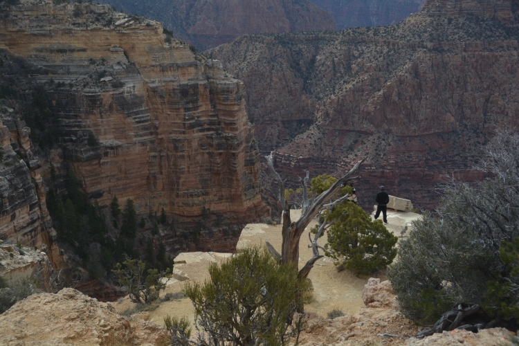 grand canyon south rim